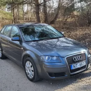 Auto noma juglā