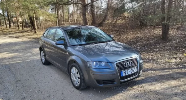 Auto noma juglā